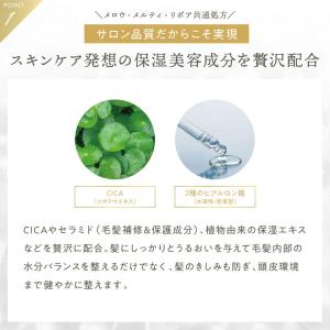 数量限定 プリュスオー シャンプー トリートメ...の詳細画像3
