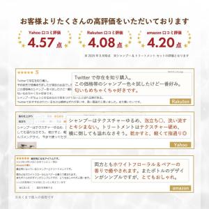 数量限定 プリュスオー シャンプー トリートメ...の詳細画像5