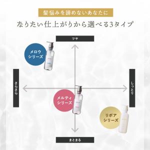 プリュスオー ヘアケア トリプルセット メロウ...の詳細画像1