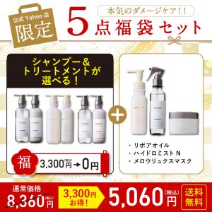 シャンプー 福袋 2025 【D】 プリュスオー公式 本気のダメージ補修セット シャンプーセットが選べる福袋