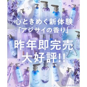 シャンプー プリュスオー ヘアケア セット 限...の詳細画像2