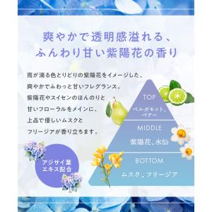 シャンプー プリュスオー ヘアケア セット 限...の詳細画像4