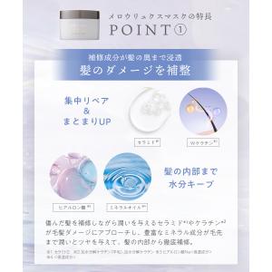 ヘアマスク プリュスオー トリートメント メロ...の詳細画像5