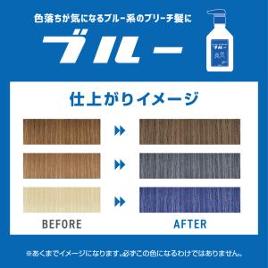 プリュスオー カラーシャンプー トリートメント...の詳細画像4