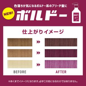 単品 プリュスオー カラーシャンプー 280m...の詳細画像2