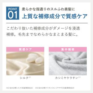 【3点セット】 プリュスオー シャンプー トリ...の詳細画像4