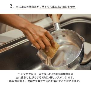 天然素材 キッチンスポンジ 3個セット ヘチマ...の詳細画像5