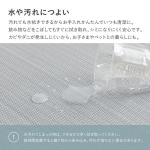置き畳 い草 水拭き おぼろ 【同色9枚セット...の詳細画像4