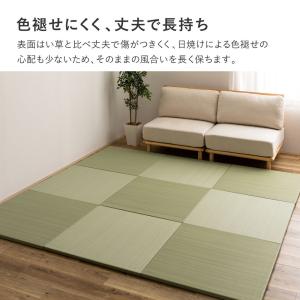 置き畳 い草 水拭き おぼろ 【同色9枚セット...の詳細画像5