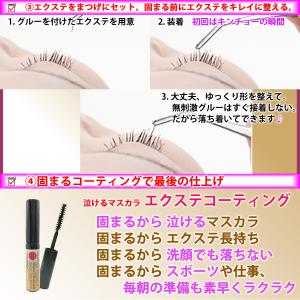 [NOCTURNE LASH] マツエク セル...の詳細画像3