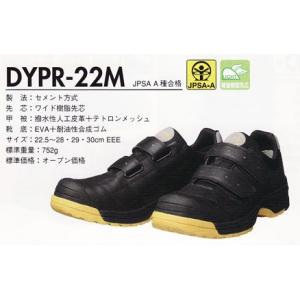 安全靴DYPR-22 ドンケル  DYPR  ダイナスティプロフェッショナル｜b-side