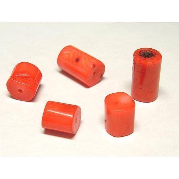 珊瑚 円柱 連販売 約10×10〜15mm 3000572☆