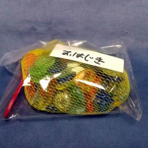 BANDAI（バンダイ） HGシリーズ メタルメカコレクション 新サイクロン