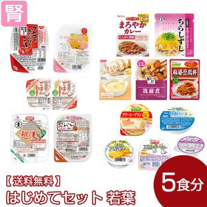 エックスサーティナイン ライフウェーブ X39 パッチシール 30枚 説明書