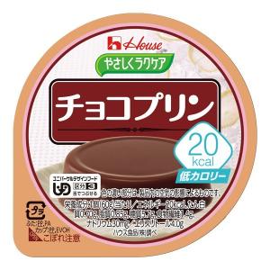 ハウス食品　やさしくラクケア　20kcalチョコプリン　60ｇ｜b-style-msc