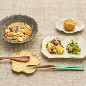 冷凍弁当 低たんぱく 腎臓病食 おかず みしまの御膳ほのか 麻婆豆腐 220g 管理栄養士監修