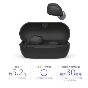 ワイヤレスイヤホン sony ソニー 完全 ブ...の詳細画像1