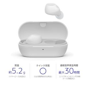 ワイヤレスイヤホン ソニー sony 完全 ホ...の詳細画像1