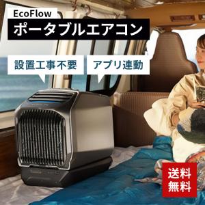 Wave2 ポータブルエアコン EcoFlow ZYDKT210-JP｜b-surprisep