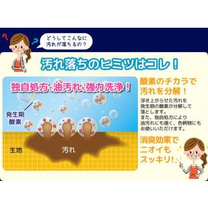 オキシウォッシュ つけおき洗剤 スニーカー・上...の詳細画像2
