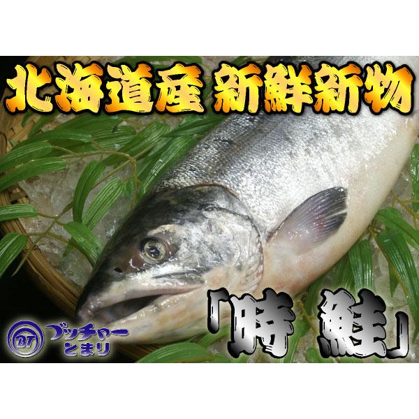 ◆北海道天然【時 鮭】◆脂ノリノリ！塩焼き最高です★1尾まるごと 約3.2kg