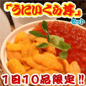 【1日10品限定】うにいくら丼セット　生蝦夷バフンウニ100gにいくら100gがついてこの価格!!今が旬!!この品質でこの価格!!3980円