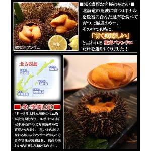 【激安特価】生蝦夷バフンウニ　無菌塩水パックで浜辺の味を実現!![100g]｜b-tomari｜03