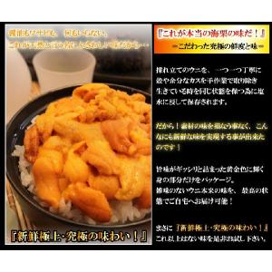 【激安特価】生蝦夷バフンウニ　無菌塩水パックで浜辺の味を実現!![100g]｜b-tomari｜04