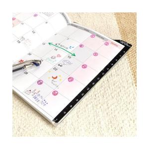 CONCISE（コンサイス） ダイアリー下敷き A5サイズ デザイン文具 事務
