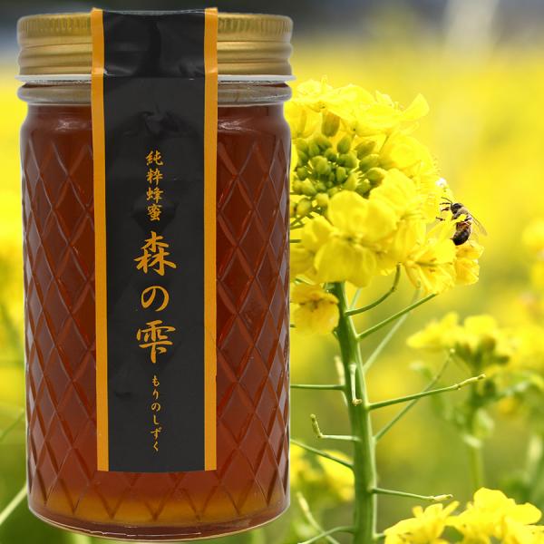 純粋蜂蜜 森の雫380g 非加熱・天然ハチミツ100％ 蜂蜜 国産蜂蜜 純粋ハチミツ 贈り物 縁起物...