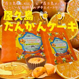 屋久島たんかんケーキ ２０個入り｜baba