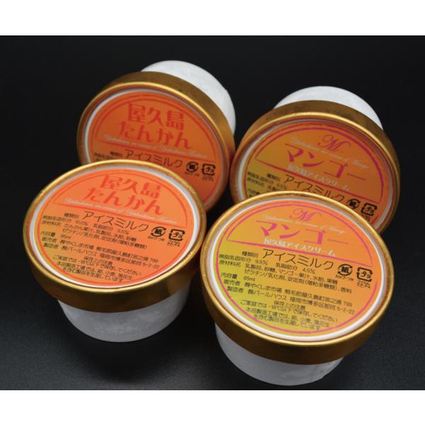 火の島アイス12個セット 送料無料 ギフト 鹿児島ギフト 贈答 プレゼント 贈り物 お歳暮 お中元 ...