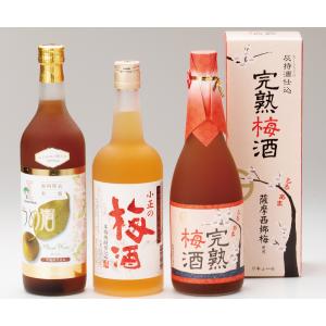 果実酒セット 送料無料 ギフト 鹿児島ギフト 贈答 プレゼント 贈り物 お歳暮 お中元 鹿児島特産品｜baba