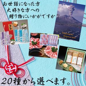 鹿児島オリジナルギフト ギフト 鹿児島ギフト 贈答 プレゼント 贈り物 お歳暮 お中元 鹿児島特産品