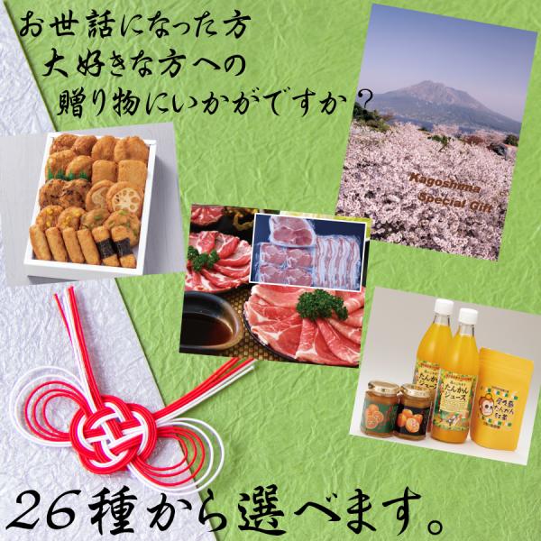 鹿児島スペシャルギフト ギフト 鹿児島ギフト 贈答 プレゼント 贈り物 お歳暮 お中元 鹿児島特産品