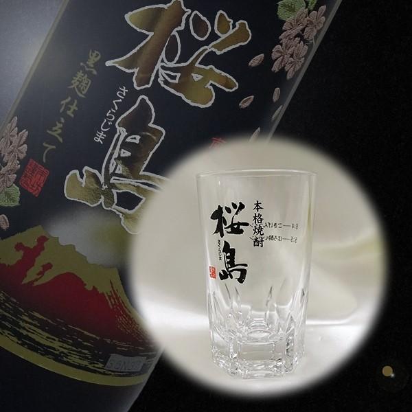 お湯割りグラス 桜島