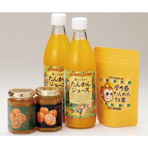 屋久島森の恵み5点セット 送料無料 ギフト 鹿児島ギフト 贈答 プレゼント 贈り物 お歳暮 お中元 ...