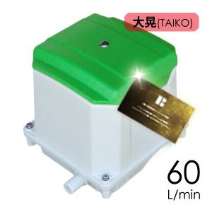 工進 浄化槽ブロアー 60L AK60D エアーポンプ 浄化槽ブロワー 浄化槽