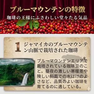 珈琲豆 最高鮮度 ブルーマウンテンNO1 ブル...の詳細画像3