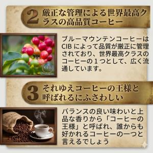 珈琲豆 最高鮮度 ブルーマウンテンNO1 ブル...の詳細画像4