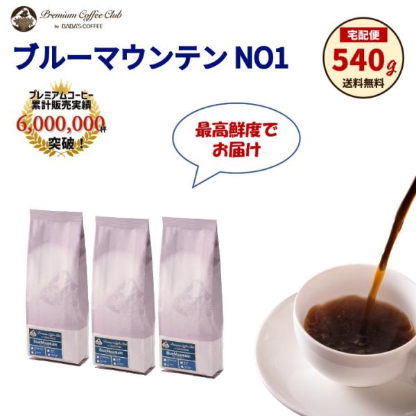 最高鮮度 ブルーマウンテン NO1 100% 540g (180g x 3) コーヒー豆 粉
