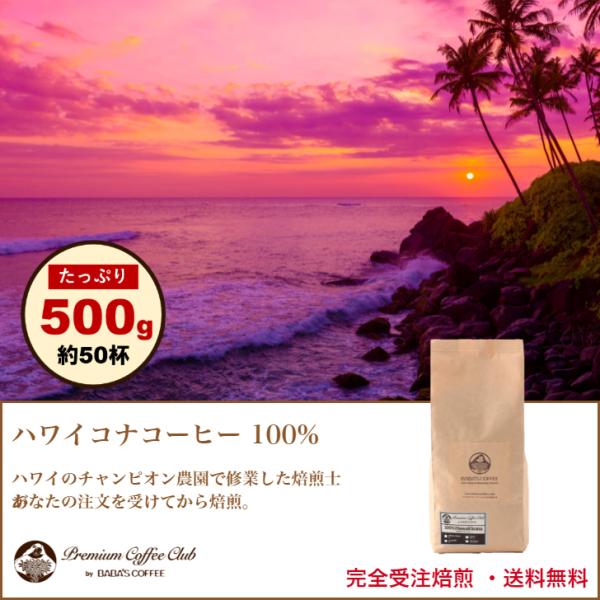 コーヒー豆 珈琲豆 ハワイコナコーヒー 100% プレミアムレギュラー 500g  ハワイコナ コナ...