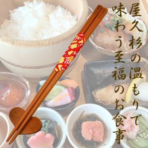 屋久杉の汁椀 : やくしま市場 - 通販 - Yahoo!ショッピング