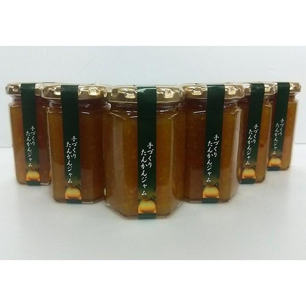 yahooショップ特価！ １０％ＯＦＦたんかんジャム150g×６個セット
