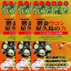 【送料無料 レターパック対応】鬱金ウコン屋久島の力×３袋｜babayaku