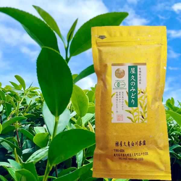 有機栽培緑茶 屋久のみどり プレミアム