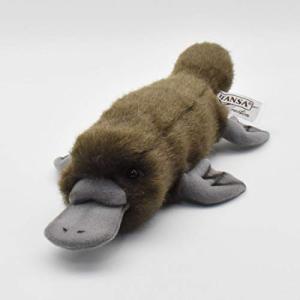 カモノハシ ぬいぐるみ おもちゃ 教材 の商品一覧 ベビー キッズ マタニティ 通販 Yahoo ショッピング