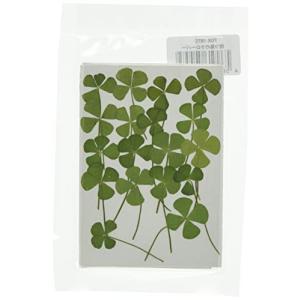 四つ葉のクローバー 押し花 レジン デコパージュ用品 の商品一覧 手芸 ハンドクラフト 楽器 手芸 コレクション 通販 Yahoo ショッピング