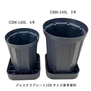 プレステラプレート150 2個セット ブラック...の詳細画像4