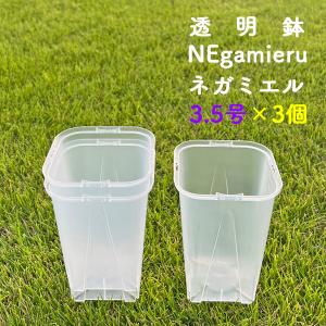 ネガミエル 3号ロングスリット鉢 5個セット 半透明スリット鉢